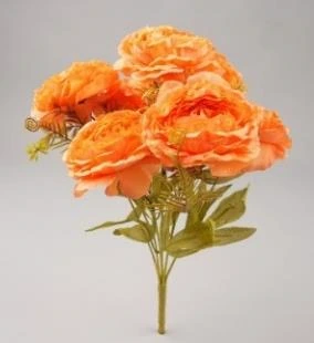 Persian Butter Cup Peony Bunch x7